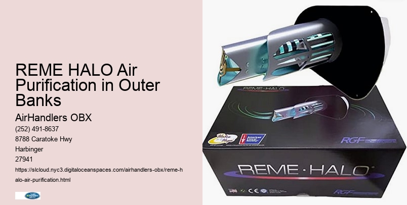 REME HALO Air Purification in Outer Banks
