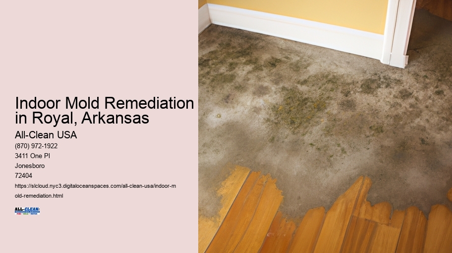 Indoor Mold Remediation in Royal, Arkansas