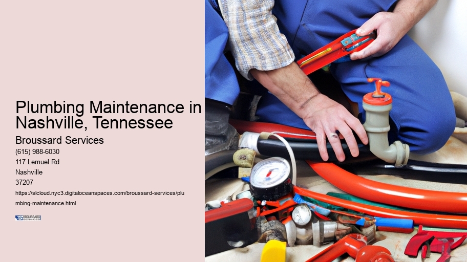Plumbing Maintenance in Nashville, Tennessee