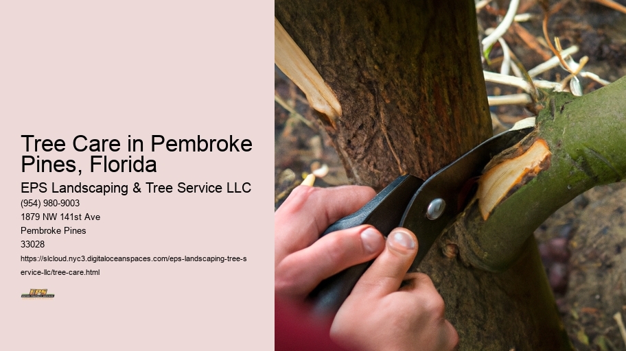 Tree Care in Pembroke Pines, Florida