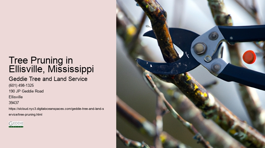 Tree Pruning in Ellisville, Mississippi