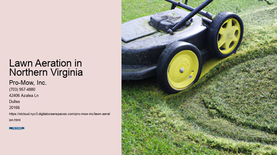 Lawn Aeration in Northern Virginia