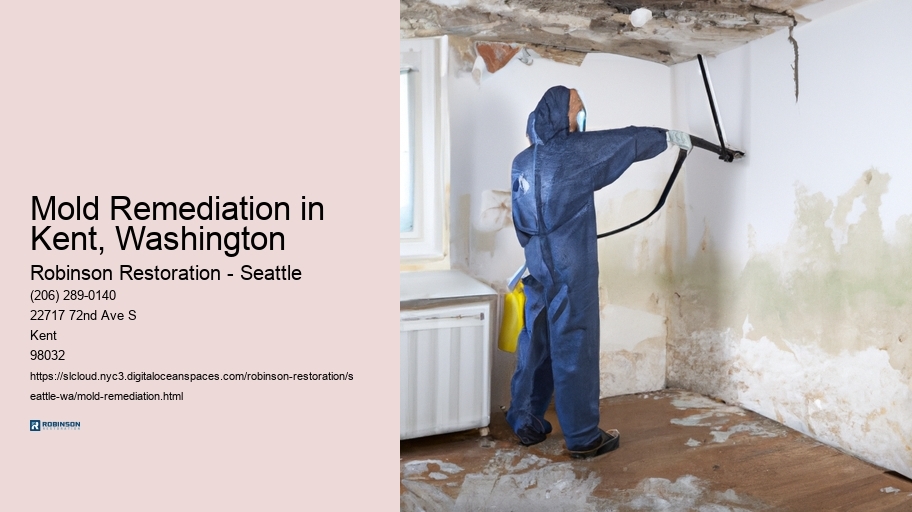 Mold Remediation in Kent, Washington