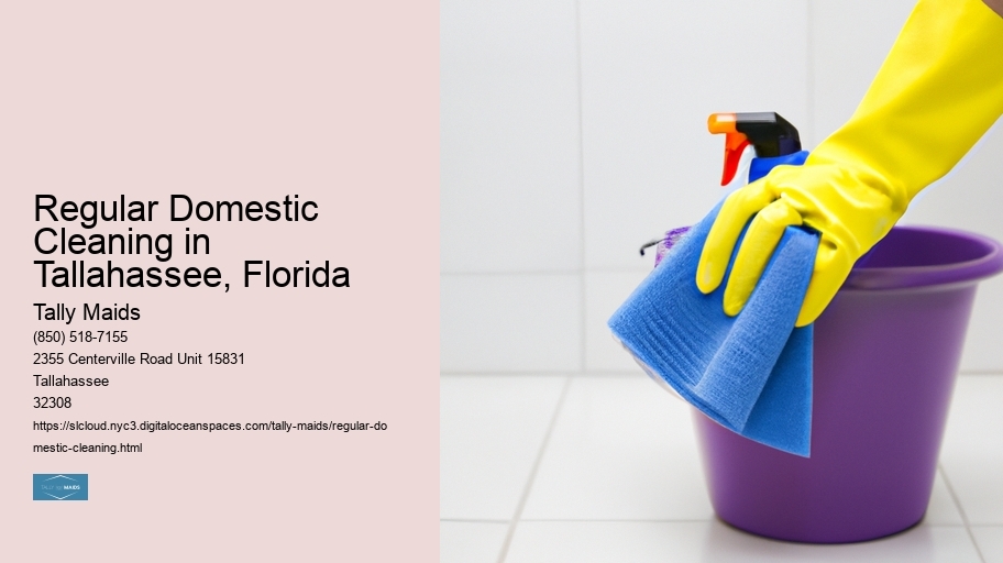 Regular Domestic Cleaning in Tallahassee, Florida